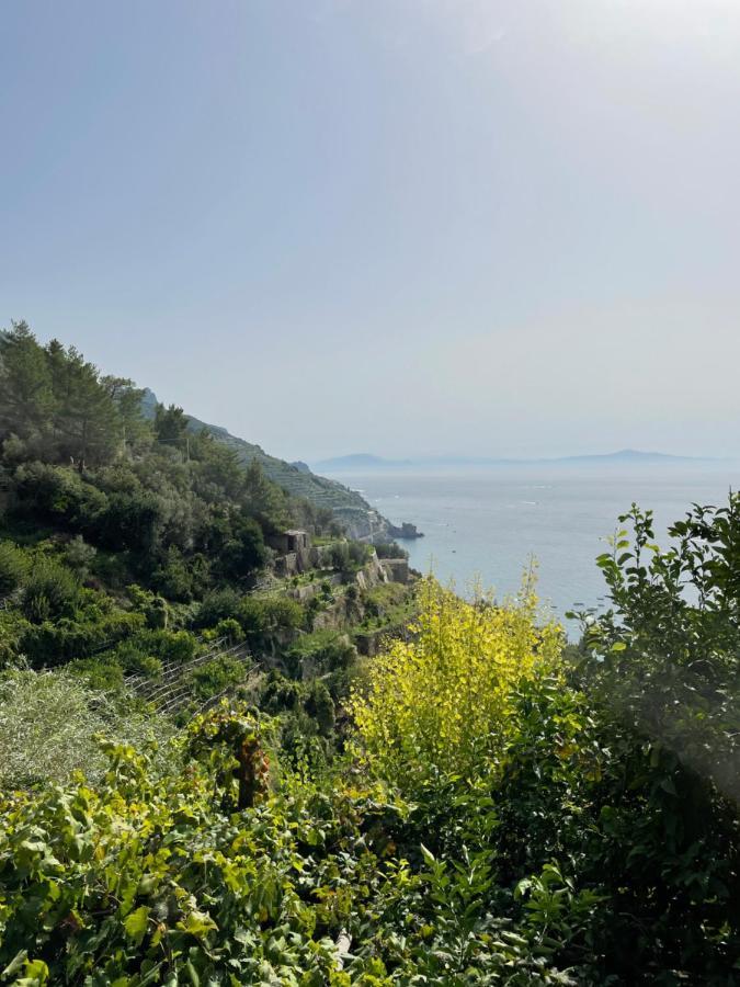 Smeraldo